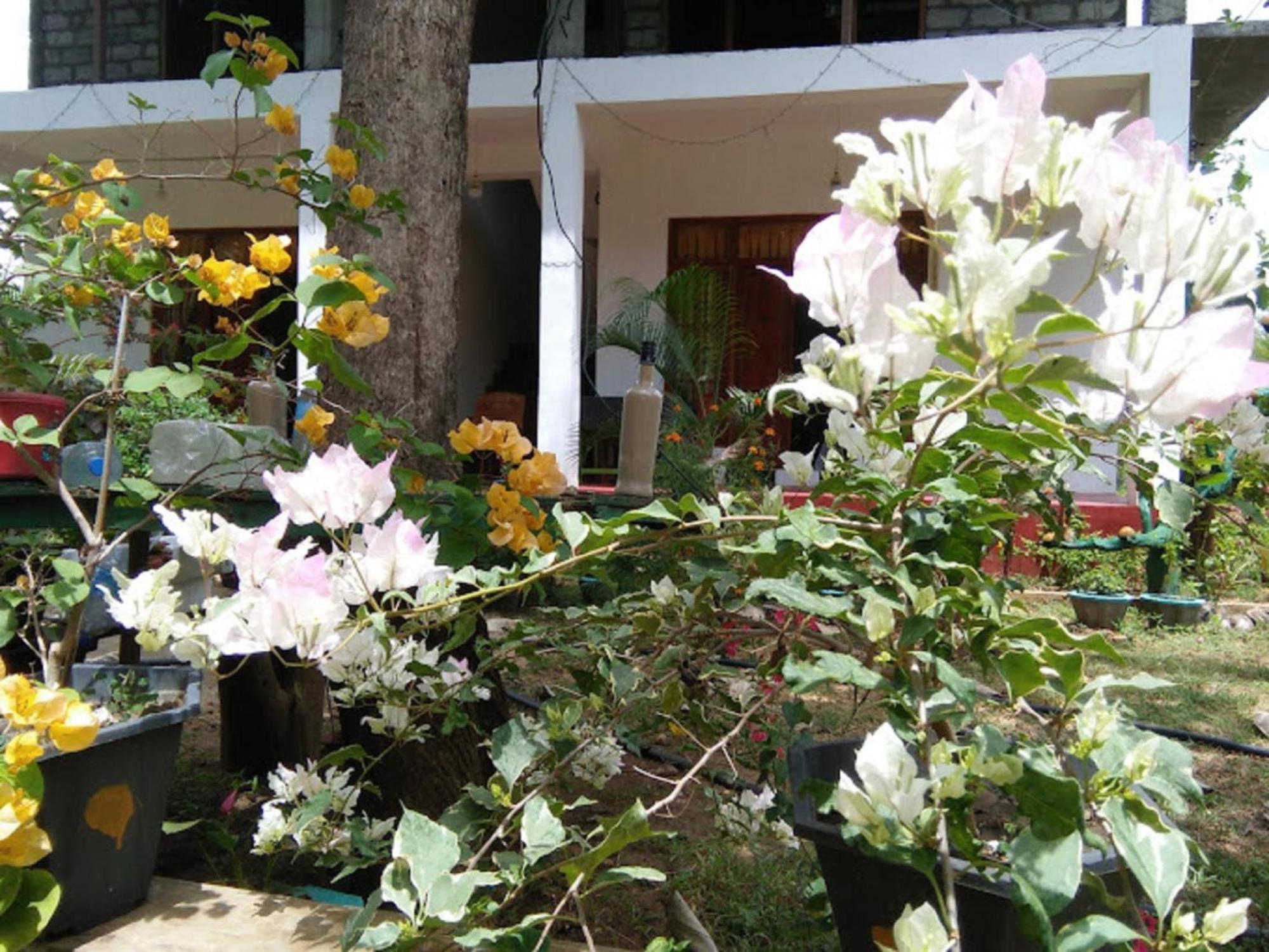 N S K Green Villa Sigiriya Dış mekan fotoğraf