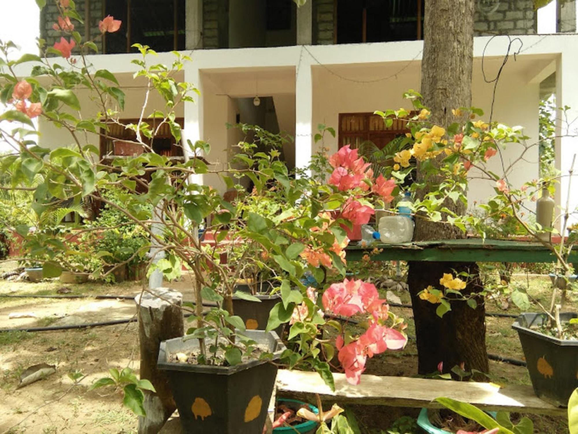 N S K Green Villa Sigiriya Dış mekan fotoğraf
