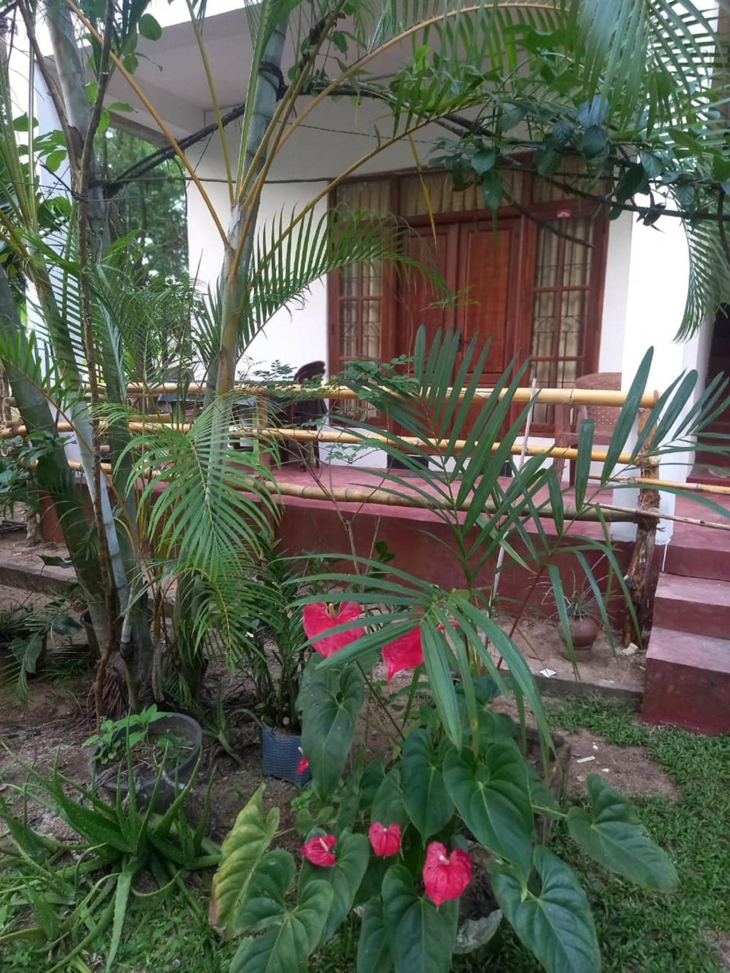 N S K Green Villa Sigiriya Dış mekan fotoğraf