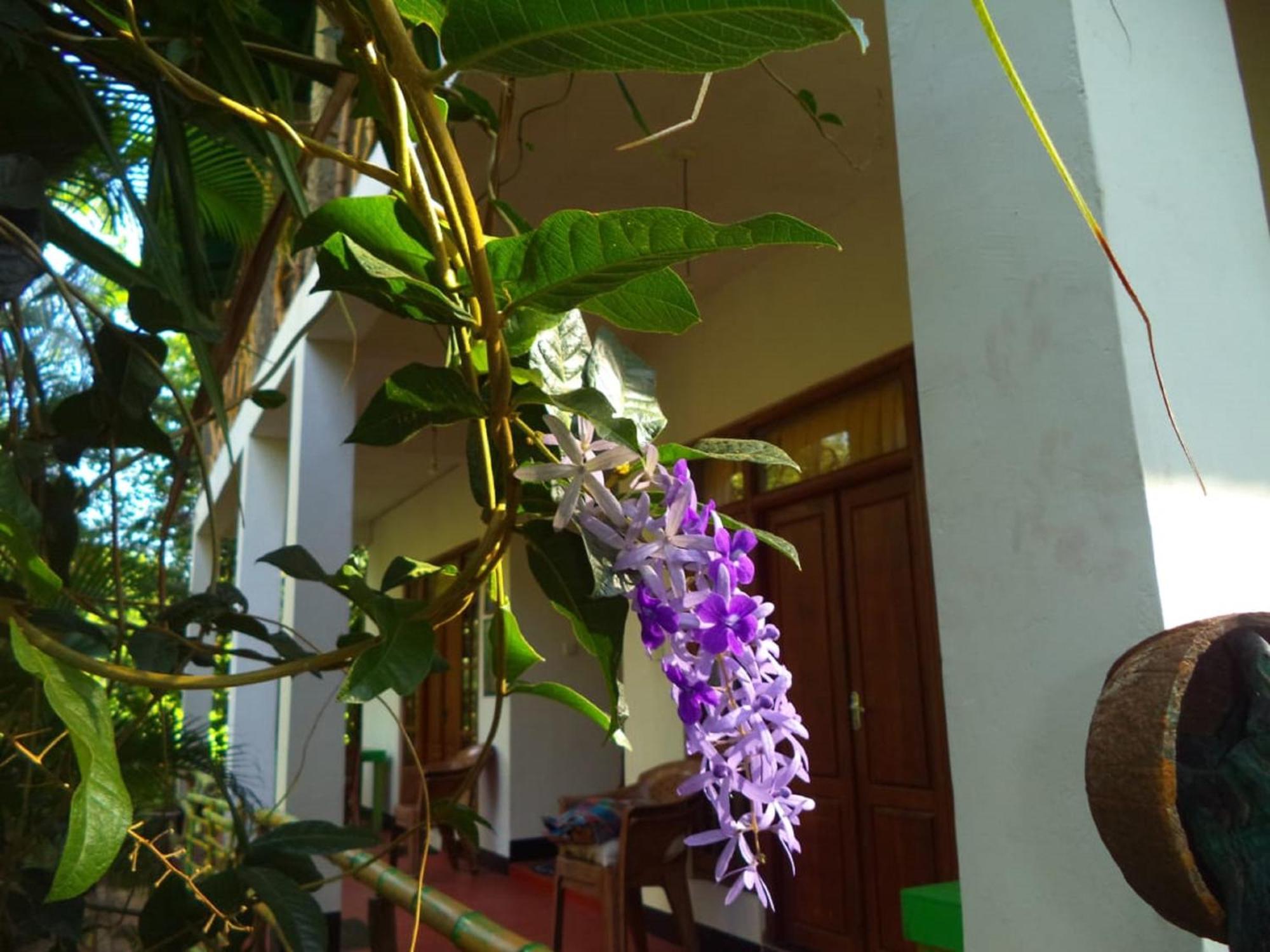 N S K Green Villa Sigiriya Dış mekan fotoğraf