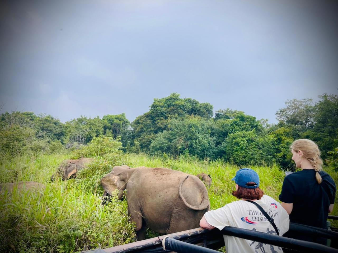 N S K Green Villa Sigiriya Dış mekan fotoğraf